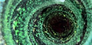 spiral vortex
